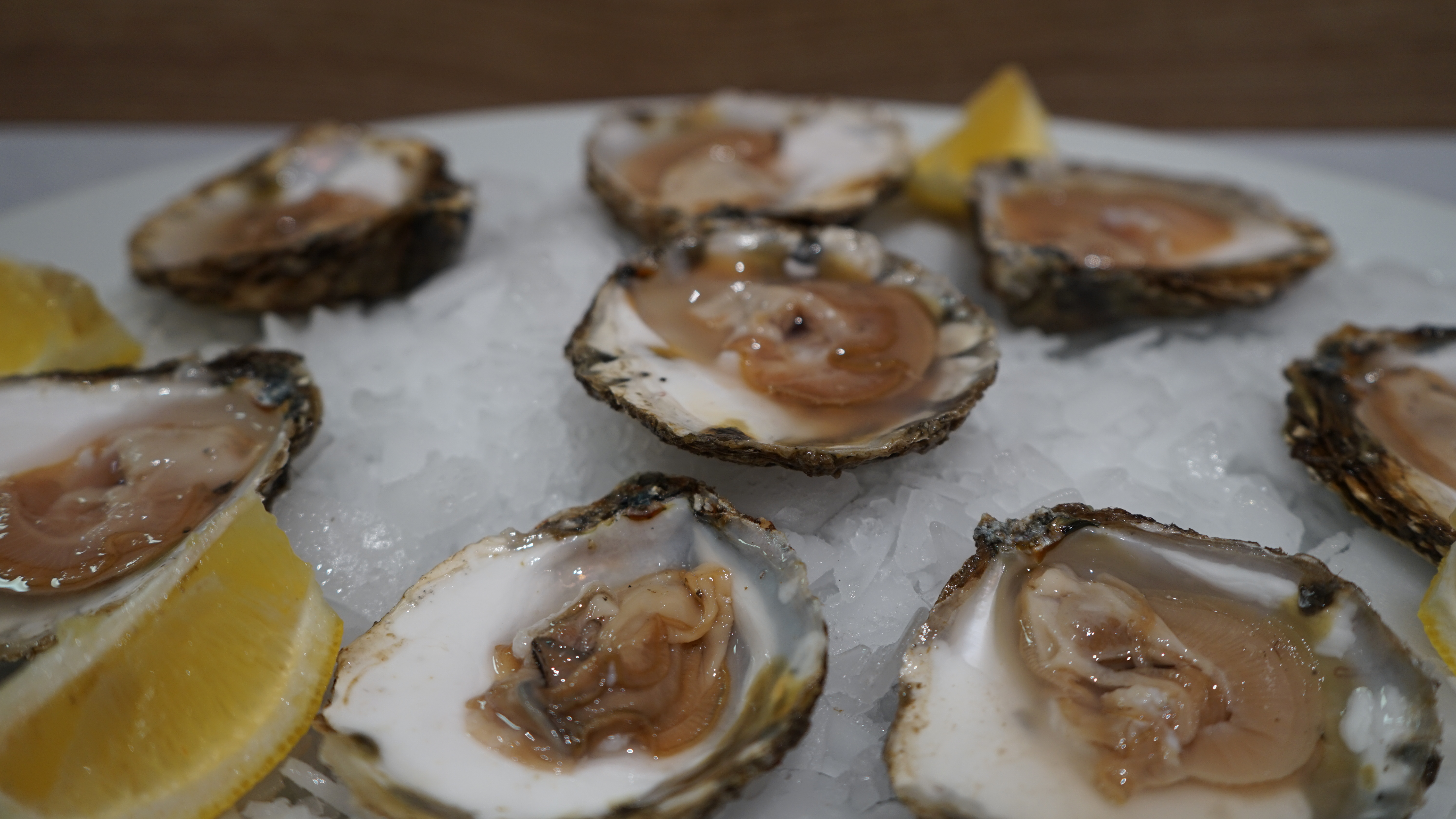 Ostras Frescas